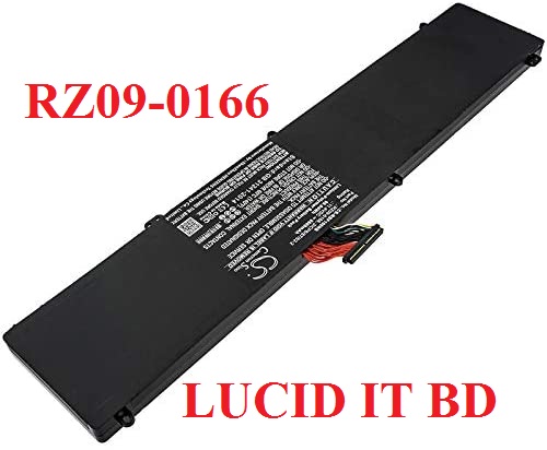 RZ09-0166